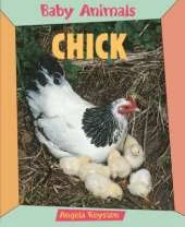 BABY ANIMALS CHICK