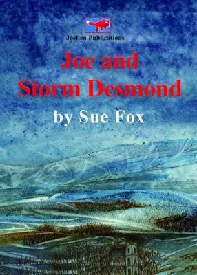 Joe Joe and Storm Desmond: Adventures, Emotions and Practicalities of Being Flooded as Seen from Viewpoint of a Youngster