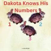 Dakota Knows His Numbers 123