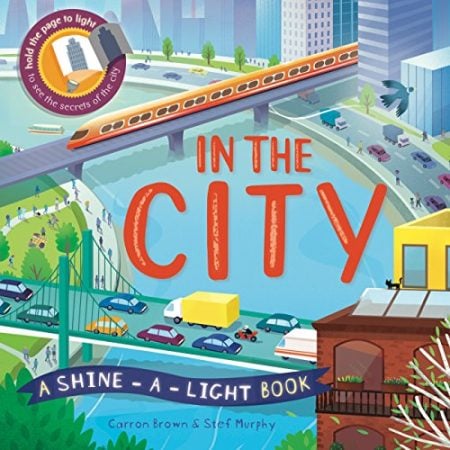 In The City: A shine-a-light book