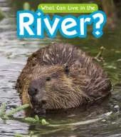 What Can Live in a River?
