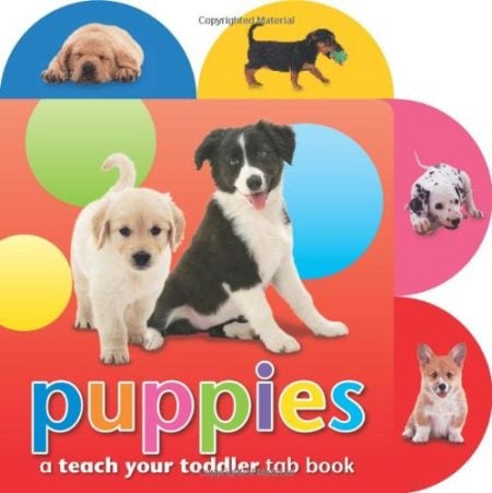 Puppies