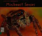 Minibeast Senses