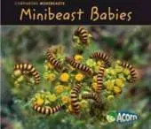 Minibeast Babies