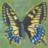 Busy Busy Butterfly