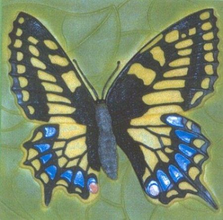 Busy Busy Butterfly