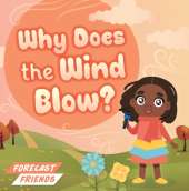 Why Does the Wind Blow?