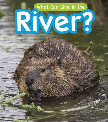 What Can Live in a River?