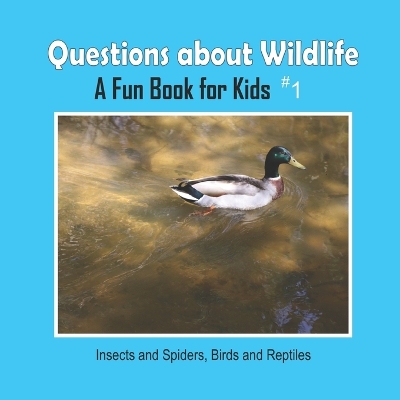 Questions about Wildlife: Insects and Spiders, Birds and Reptiles