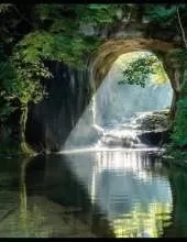 Whispers of the Whispering Pines: Dosha's Legacy