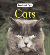 Read and Play: Cats