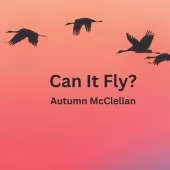 Can It Fly?
