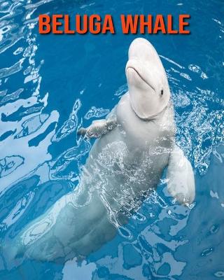Beluga Whale: Beautiful Pictures & Interesting Facts Children Book About Beluga Whale