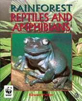 Rainforests: Reptiles and Amphibians