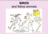 Birds and fellow animals 2018: A birds and animals calendar