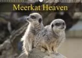 Meerkat Heaven 2019: Meerkats basking in the morning sunshine