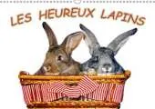 Les Heureux Lapins: Des Lapins Devant l'Appareil Photo. Nous les Lapins, Nous Aimons Etre Pris en Photo.