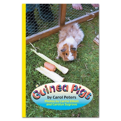 Guinea Pigs