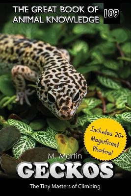 Geckos: The Tiny Masters of Climbing