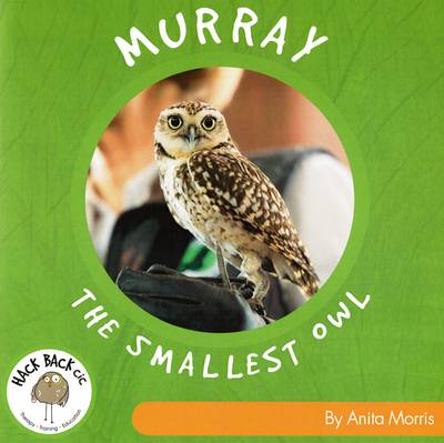 Murray the Smallest Owl