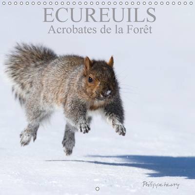 Ecureuils. Acrobates de la Foret: Les Ecureuils du Quebec au Fil des Quatre Saisons.