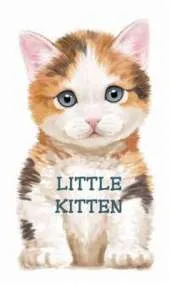Little Kitten: Look at Me Books