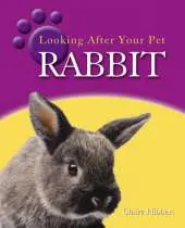 Looking After Your Pet: Rabbit
