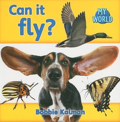 Can it fly?