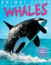 Animal Lives: Whales
