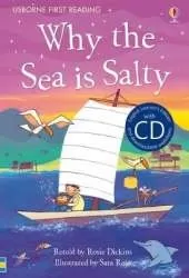 Why is the sea salty?