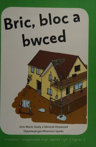Bric, bloc a bwced: Archwilio'r amgylchedd awyr agored yn y Cyfnod Sylfaen