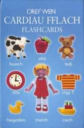 Cardiau Fflach