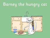 Barney the hungry cat
