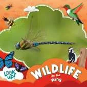Wildlife on the Wing