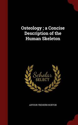 Osteology; A Concise Description of the Human Skeleton