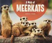 A Mob of Meerkats