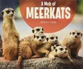 A Mob of Meerkats