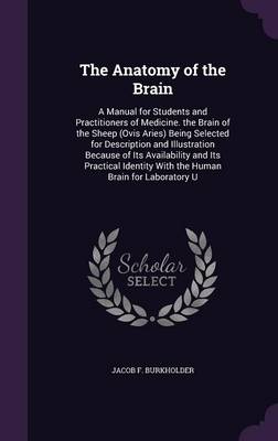 The Anatomy of the Brain: A Manual for Students and Practitioners of Medicine. the Brain of the Sheep (Ovis Aries) Being Selected for Description and Illustration Because of Its Availability and Its Practical Identity with the Human Brain for Laboratory U