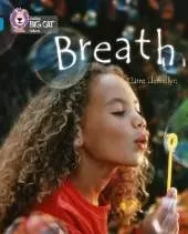 Breath: Band 13/Topaz