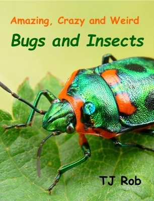 Amazing, Crazy and Weird Bugs and Insects: (Age 6 and Above)