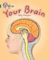 Your Brain: Band 15/Emerald