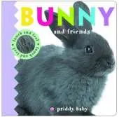 Bunny & Friends: Priddy Touch & Feel