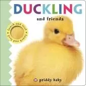 Duckling and Friends: Priddy Touch & Feel