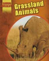 Grassland Animals