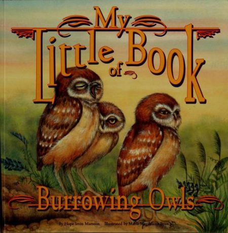 My Little Book of Burrowing Owls