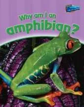 Why am I an Amphibian?