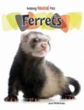 Ferrets