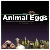 Animal Eggs: An Amazing Clutch of Mysteries and Marvels