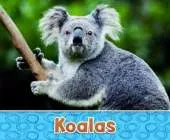 Australian Animals Pack A of 2