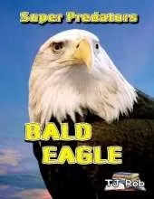 Bald Eagle: Age 6 and above